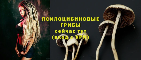 гашиш Богородицк