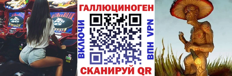 где можно купить   гидра онион  Псилоцибиновые грибы Psilocybe  Козьмодемьянск 